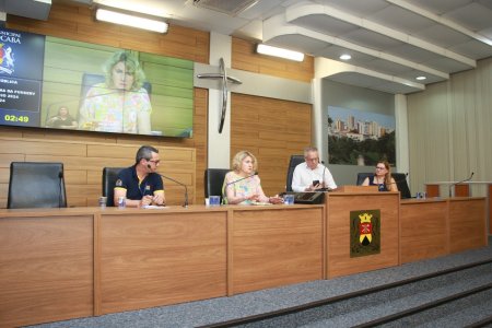 Audiência Publica - 02/12/2024